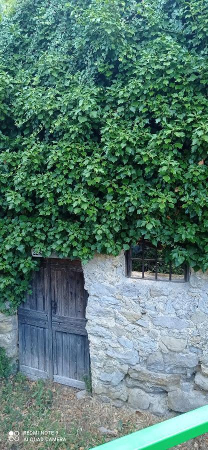 Agriturismo Vecchio Frantoio Villatella Exterior foto