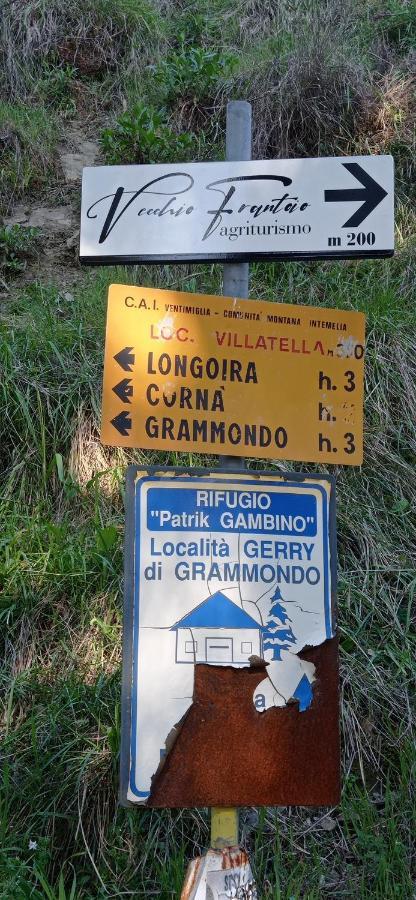 Agriturismo Vecchio Frantoio Villatella Exterior foto